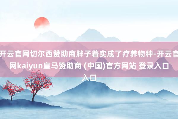 开云官网切尔西赞助商胖子着实成了疗养物种-开云官网kaiyun皇马赞助商 (中国)官方网站 登录入口