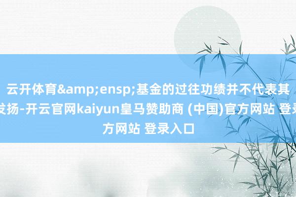云开体育 基金的过往功绩并不代表其当年发扬-开云官网kaiyun皇马赞助商 (中国)官方网站 登录入口
