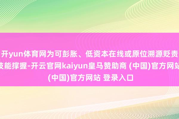 开yun体育网为可彭胀、低资本在线或原位溯源贬责决策提供技能撑握-开云官网kaiyun皇马赞助商 (中国)官方网站 登录入口