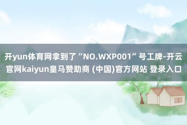 开yun体育网拿到了“NO.WXP001”号工牌-开云官网kaiyun皇马赞助商 (中国)官方网站 登录入口