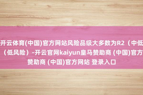 开云体育(中国)官方网站风险品级大多数为R2(中低风险)致使R1(低风险)-开云官网kaiyun皇马赞助商 (中国)官方网站 登录入口