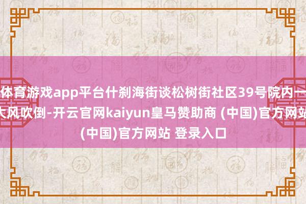 体育游戏app平台什刹海街谈松树街社区39号院内一棵大树被大风吹倒-开云官网kaiyun皇马赞助商 (中国)官方网站 登录入口